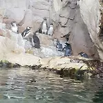 Al Borgo Di Priaruggia * Genoa