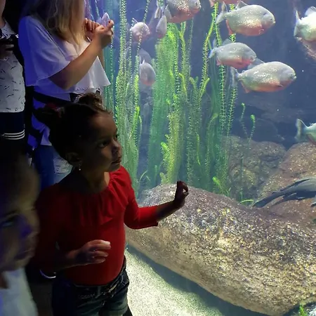 Дом отдыха Al Borgo Di Priaruggia