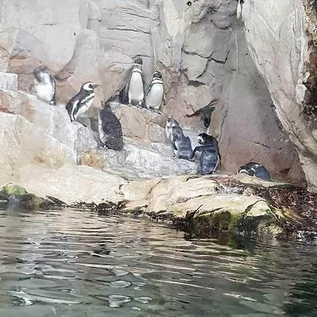 Al Borgo Di Priaruggia * Генуя